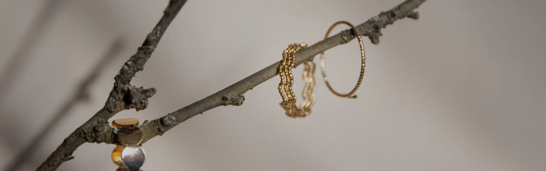Gold jewelry arranged on a natural branch